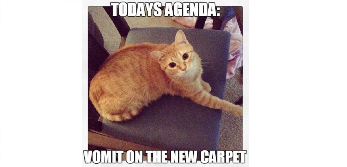 Beginners-guide-2 Beginners-guide-2